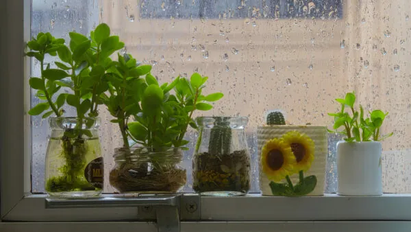 What Can't You Store in a Self Storage Unit? 7 Items to Avoid