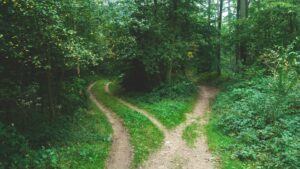 Self storage for divorce