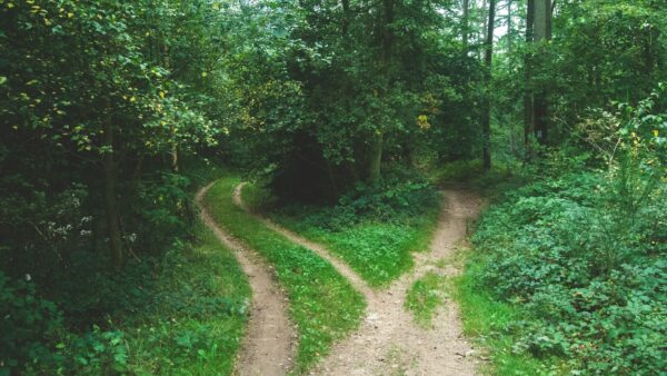 Self storage for divorce